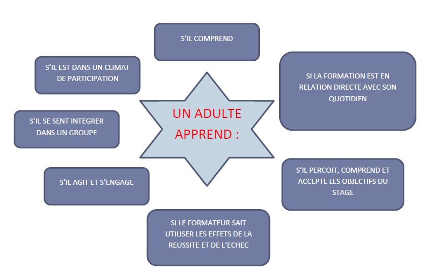 Un adulte apprend